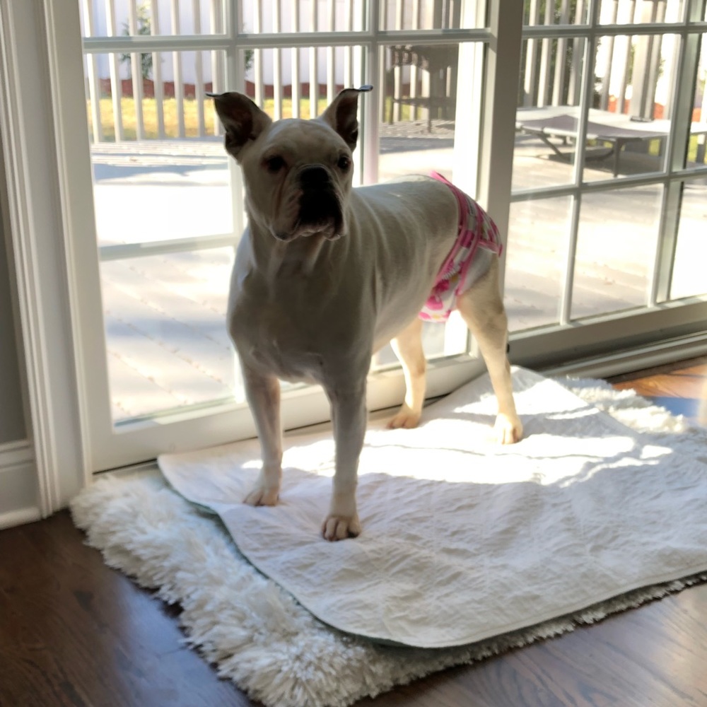 Meet your Posher, Jilian